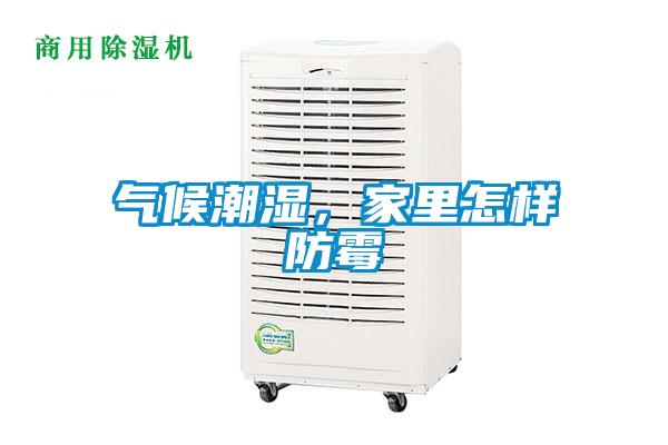 氣候潮濕，家里怎樣防霉