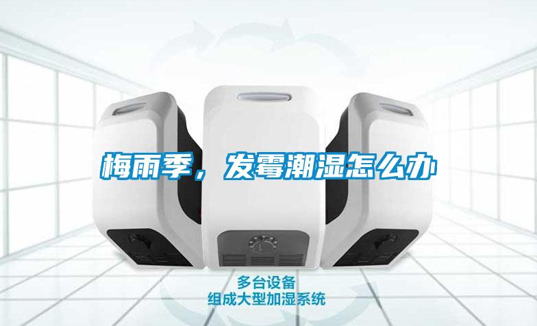 梅雨季，發霉潮濕怎么辦