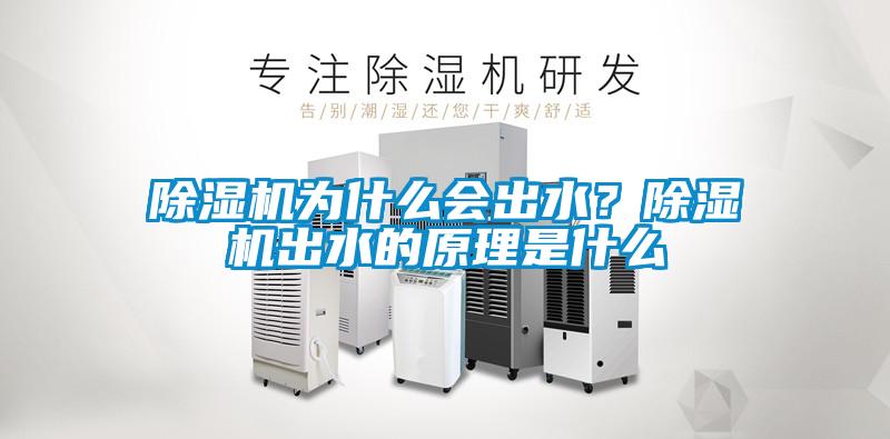 除濕機為什么會出水？除濕機出水的原理是什么