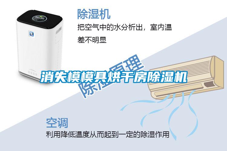 消失模模具烘干房除濕機