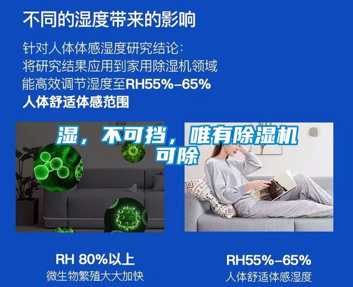 濕，不可擋，唯有除濕機可除