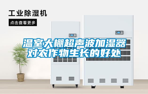 溫室大棚超聲波加濕器對農作物生長的好處