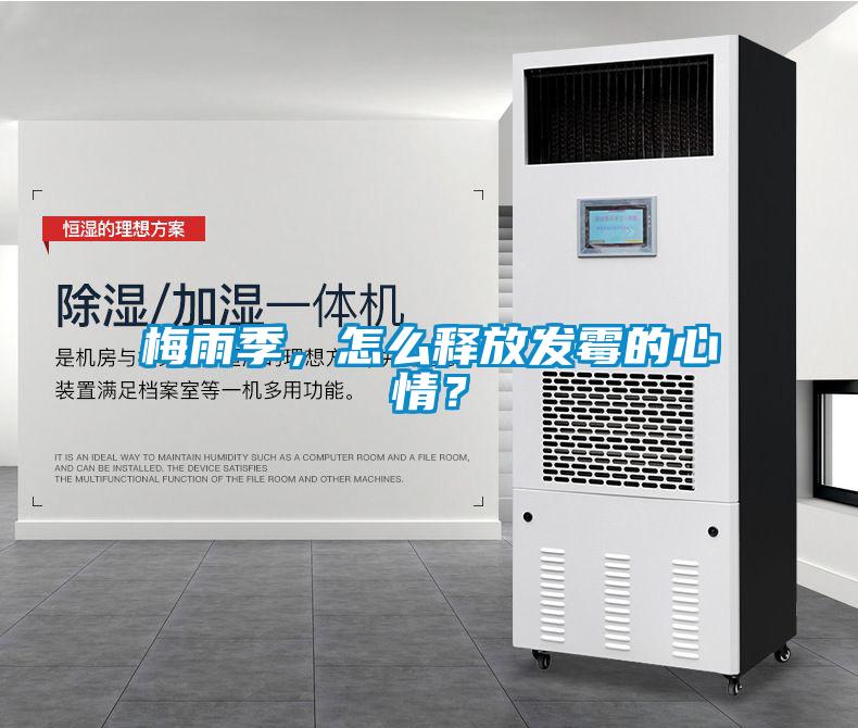 梅雨季，怎么釋放發霉的心情？
