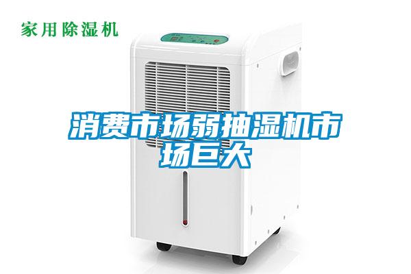消費市場弱抽濕機市場巨大