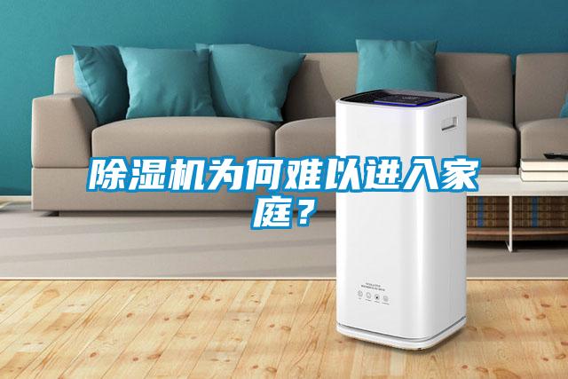 除濕機為何難以進入家庭？