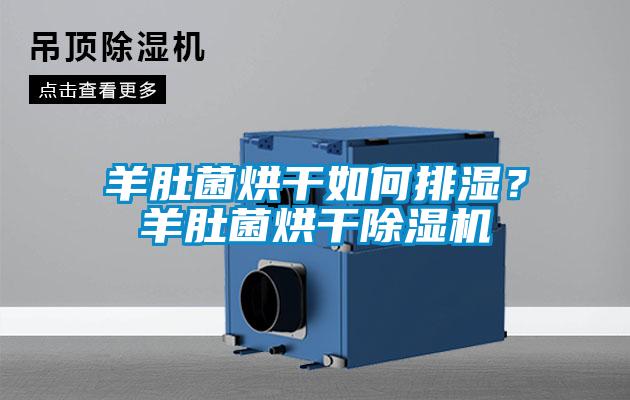 羊肚菌烘干如何排濕？羊肚菌烘干除濕機