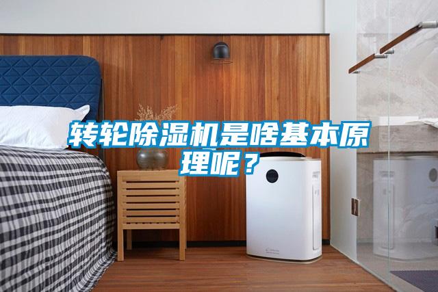 轉輪除濕機是啥基本原理呢？