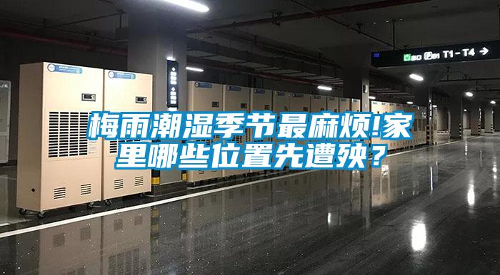 梅雨潮濕季節最麻煩!家里哪些位置先遭殃？