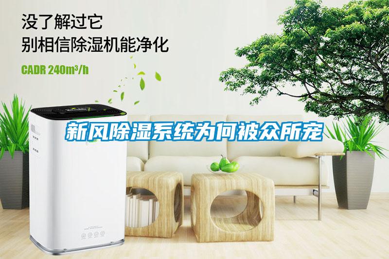 新風除濕系統為何被眾所寵