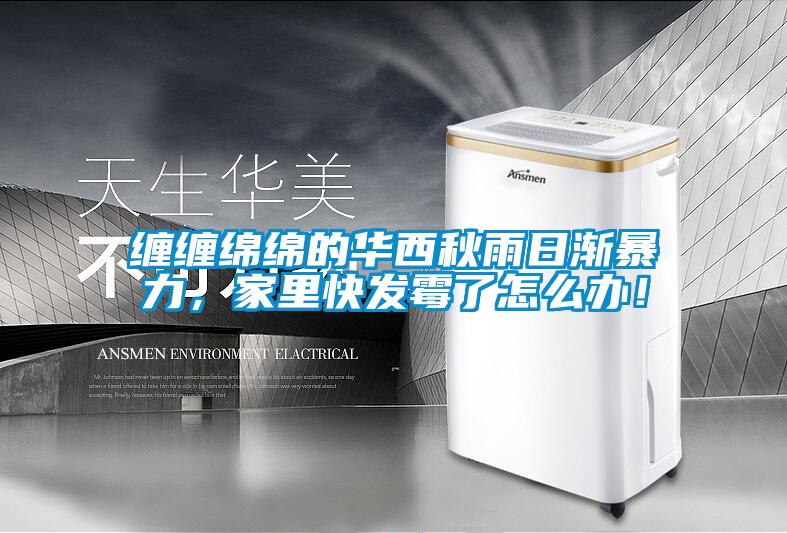 纏纏綿綿的華西秋雨日漸暴力，家里快發霉了怎么辦！