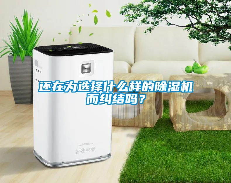 還在為選擇什么樣的除濕機而糾結嗎？