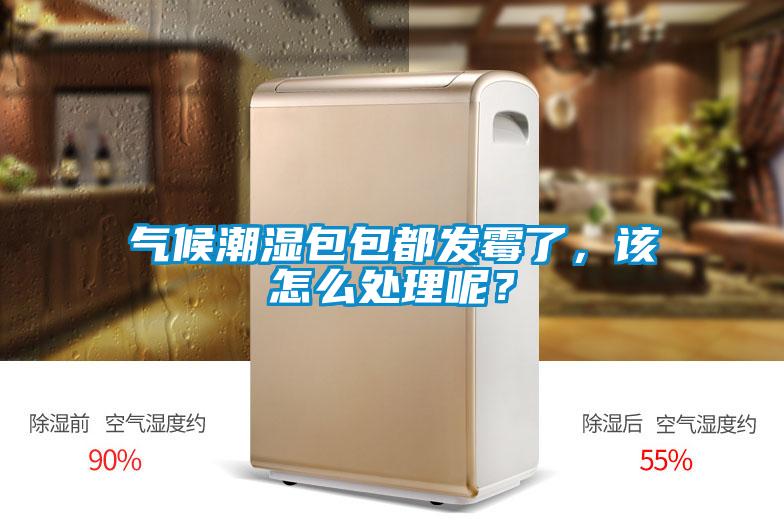 氣候潮濕包包都發霉了，該怎么處理呢？