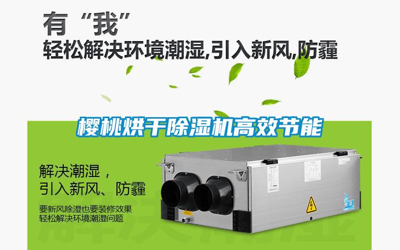 櫻桃烘干除濕機高效節能