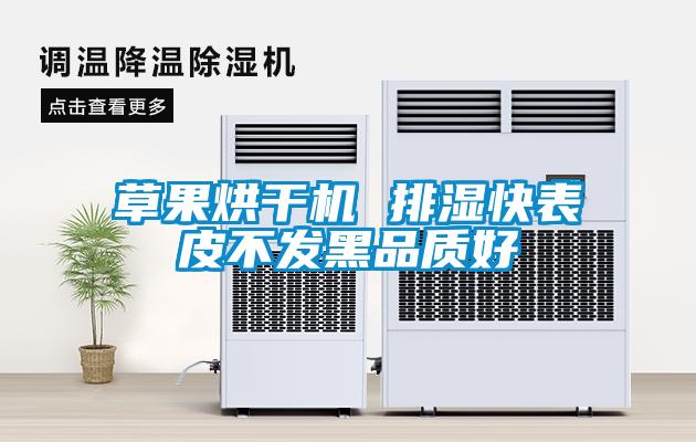 草果烘干機 排濕快表皮不發黑品質好