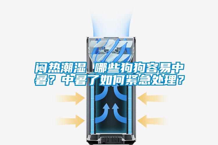 悶熱潮濕 哪些狗狗容易中暑？中暑了如何緊急處理？