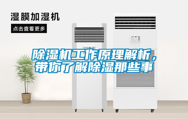 除濕機工作原理解析，帶你了解除濕那些事