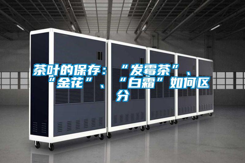茶葉的保存：“發霉茶”、“金花”、“白霜”如何區分