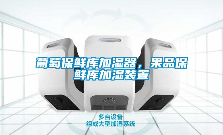 葡萄保鮮庫加濕器，果品保鮮庫加濕裝置