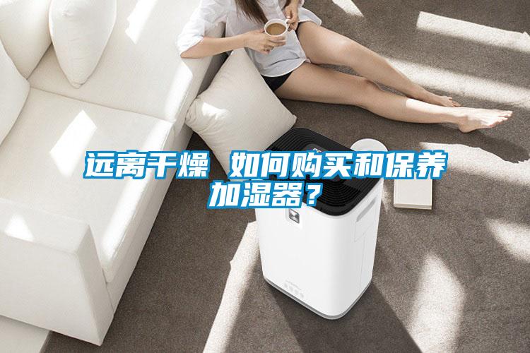 遠離干燥 如何購買和保養加濕器？
