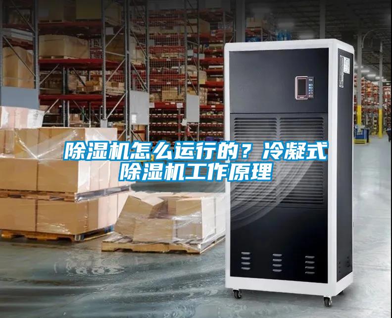 除濕機怎么運行的？冷凝式除濕機工作原理