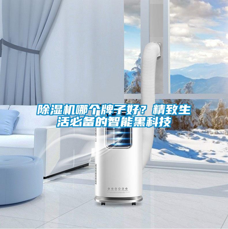 除濕機哪個牌子好？精致生活必備的智能黑科技
