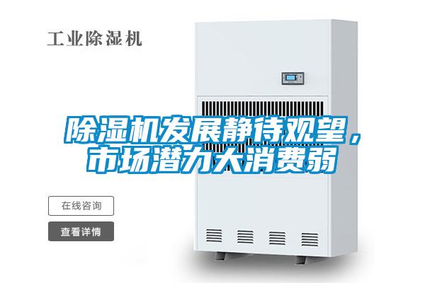 除濕機發展靜待觀望，市場潛力大消費弱
