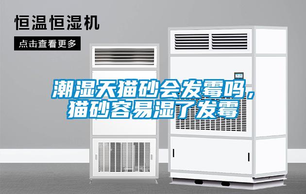 潮濕天貓砂會發霉嗎，貓砂容易濕了發霉