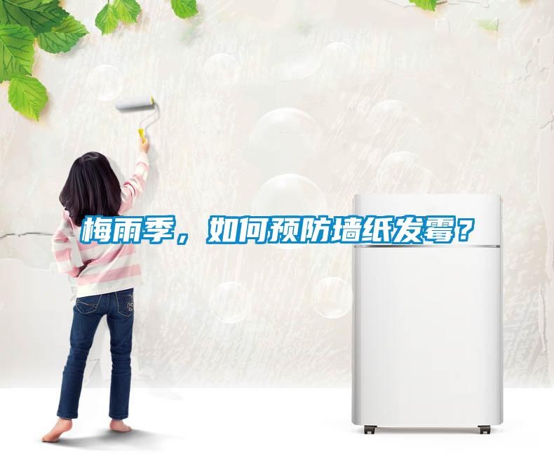 梅雨季，如何預防墻紙發霉？