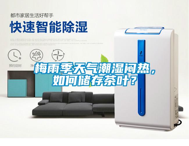 梅雨季天氣潮濕悶熱，如何儲存茶葉？