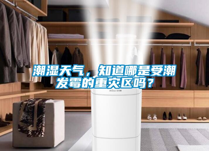 潮濕天氣，知道哪是受潮發霉的重災區嗎？