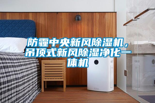 防霾中央新風除濕機，吊頂式新風除濕凈化一體機