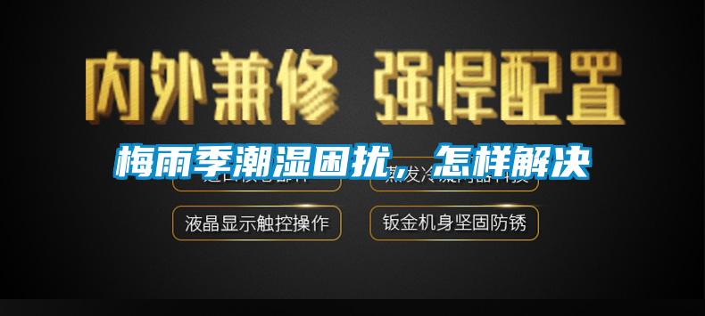 梅雨季潮濕困擾，怎樣解決