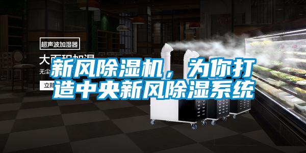 新風除濕機，為你打造中央新風除濕系統