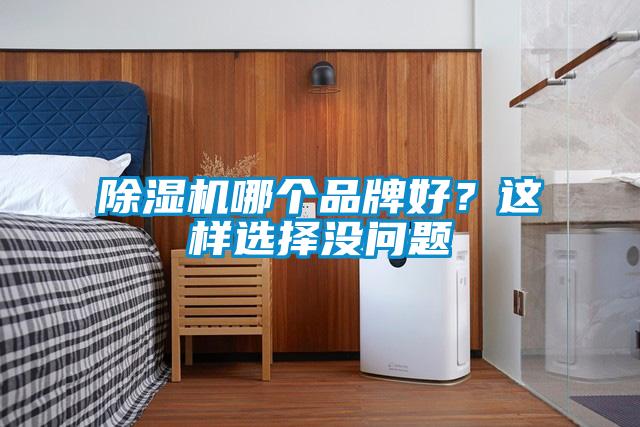 除濕機哪個品牌好？這樣選擇沒問題
