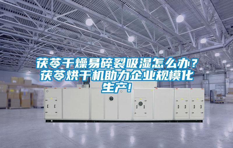 茯苓干燥易碎裂吸濕怎么辦？茯苓烘干機助力企業規模化生產!