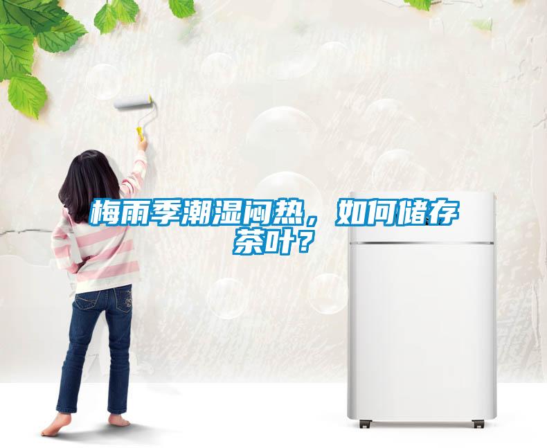 梅雨季潮濕悶熱，如何儲存茶葉？