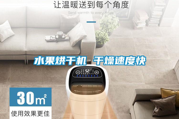 水果烘干機 干燥速度快
