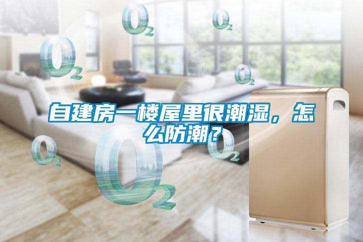 自建房一樓屋里很潮濕，怎么防潮？