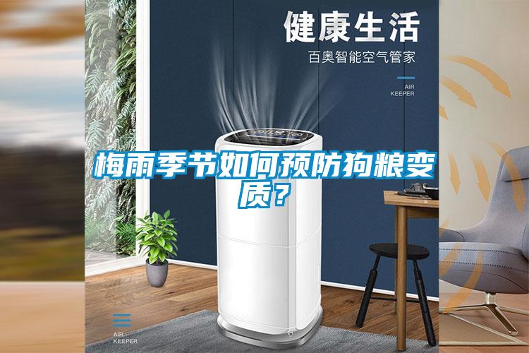 梅雨季節如何預防狗糧變質？