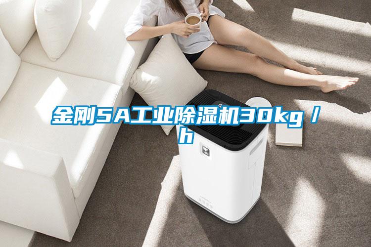 金剛5A工業除濕機30kg／h