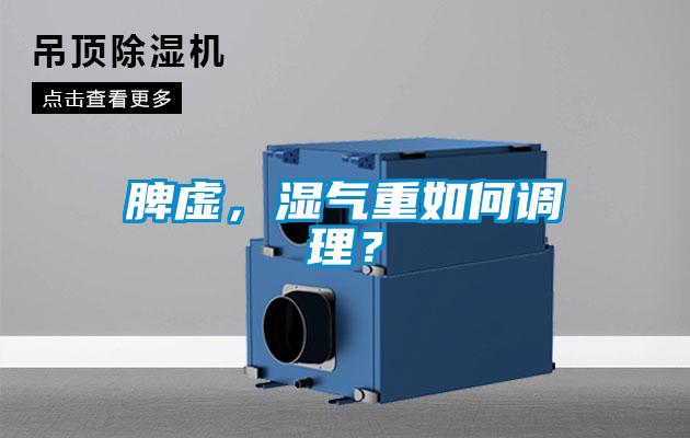 脾虛，濕氣重如何調理？