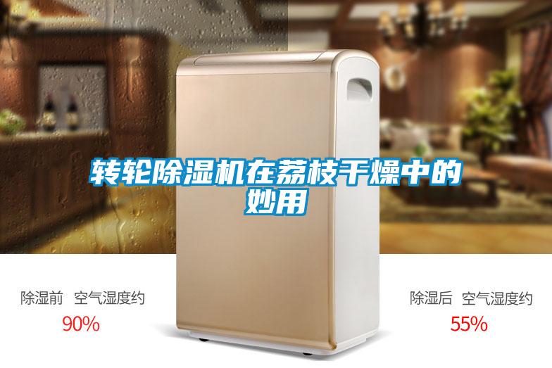 轉輪除濕機在荔枝干燥中的妙用