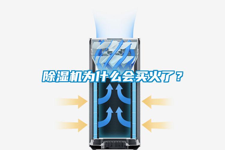 除濕機為什么會買火了？