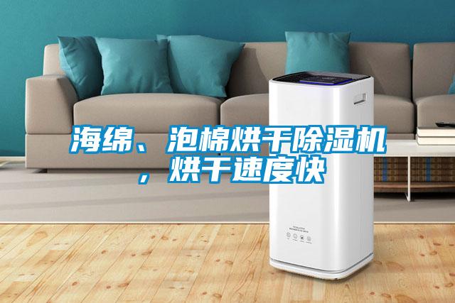 海綿、泡棉烘干除濕機，烘干速度快
