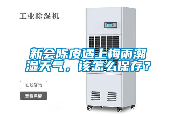 新會陳皮遇上梅雨潮濕天氣，該怎么保存？