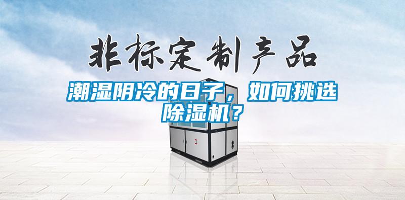 潮濕陰冷的日子，如何挑選除濕機？