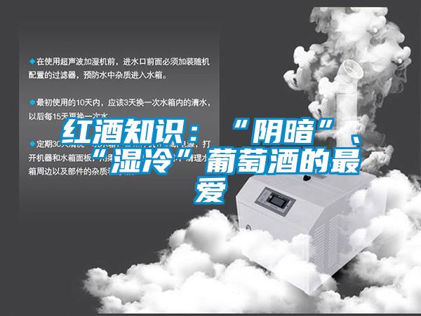 紅酒知識：“陰暗”、“濕冷”葡萄酒的最愛