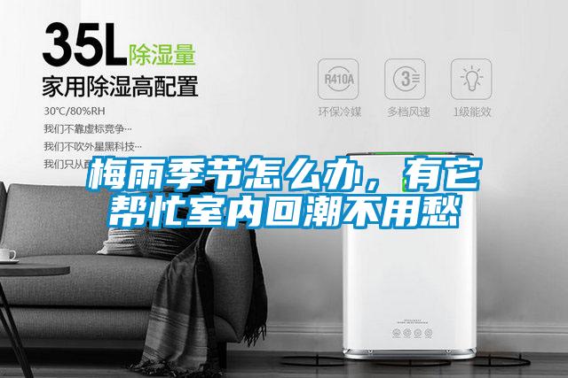 梅雨季節怎么辦，有它幫忙室內回潮不用愁