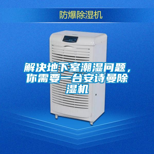 解決地下室潮濕問題，你需要一臺安詩曼除濕機