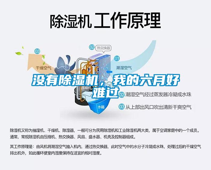 沒有除濕機，我的六月好難過